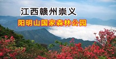 大鸡吧干逼操逼操